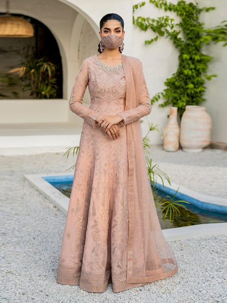 Pakistani Salwar Kameez - Designer Chiffon Embroidery