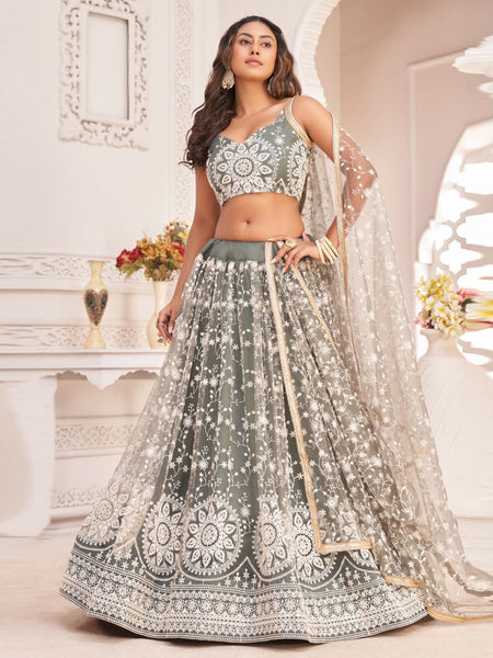 Plus-Sizes Lehenga Choli - Butterfly Net Embroidery