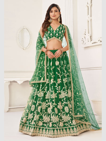 Plus-Sizes Lehenga Choli - Butterfly Net Sequence