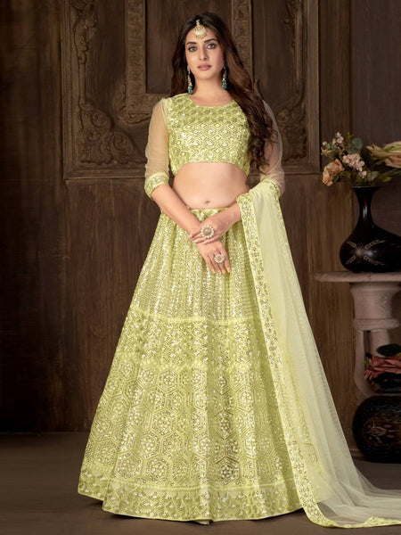 Plus-Sizes Lehenga Choli - Embroidered  Net