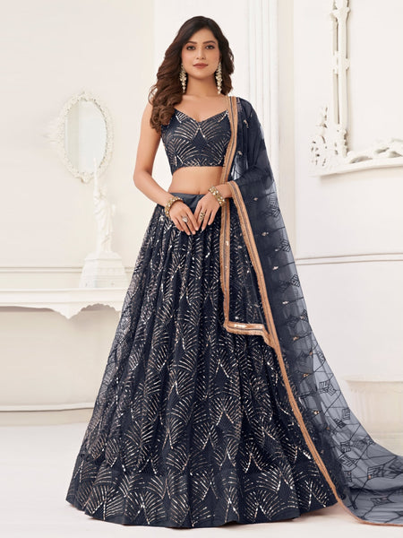 New Lehenga Choli - Butterfly Net Sequence