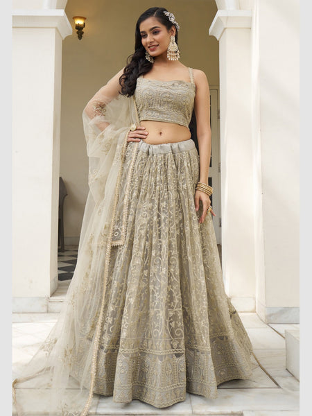 New Lehenga Choli - Butterfly Net Sequence