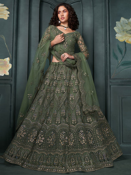 New Lehenga Choli - Luxury Net Embroidery