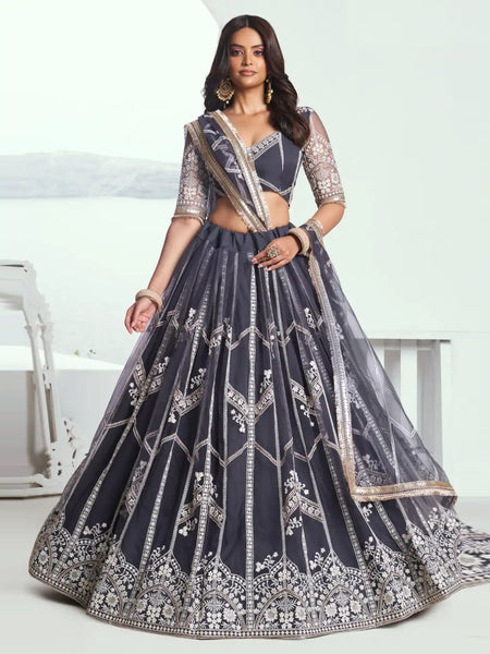  Lehenga Choli - Grey Butterfly Net Embroidery