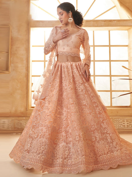 New Lehenga Choli - Luxury Net Embroidery