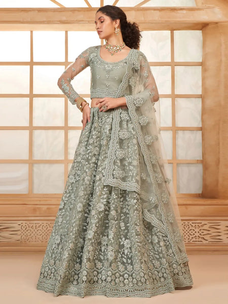 New Lehenga Choli - Luxury Net Embroidery