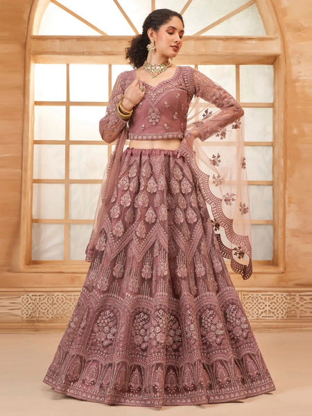 New Lehenga Choli - Luxury Net Embroidery
