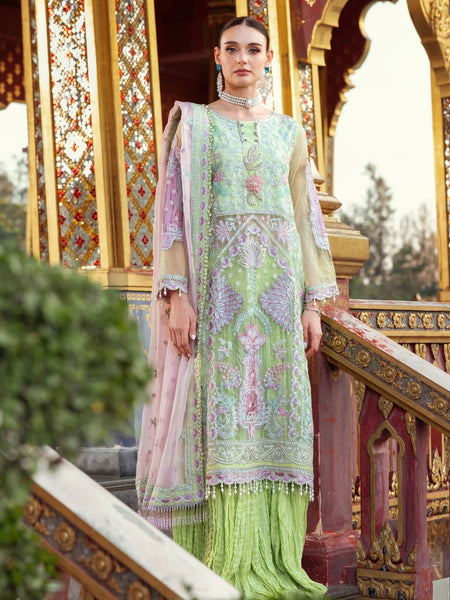 Pakistani Salwar Kameez - Designer Embroidered Organza