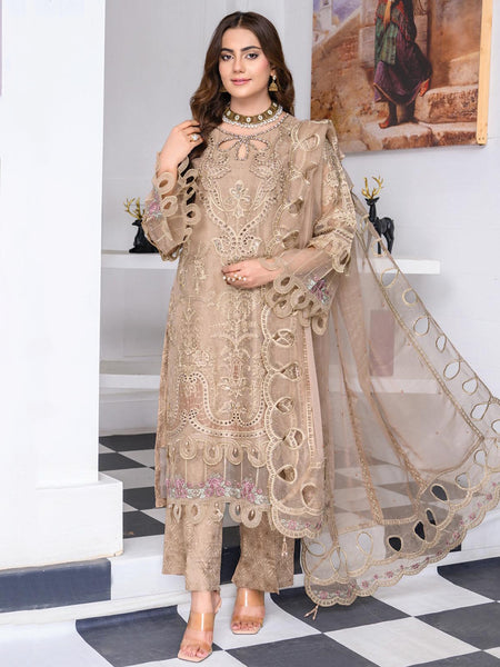 Chiffon Pakistani Dress - Champagne Beige Organza Heavy Embroidered Royal