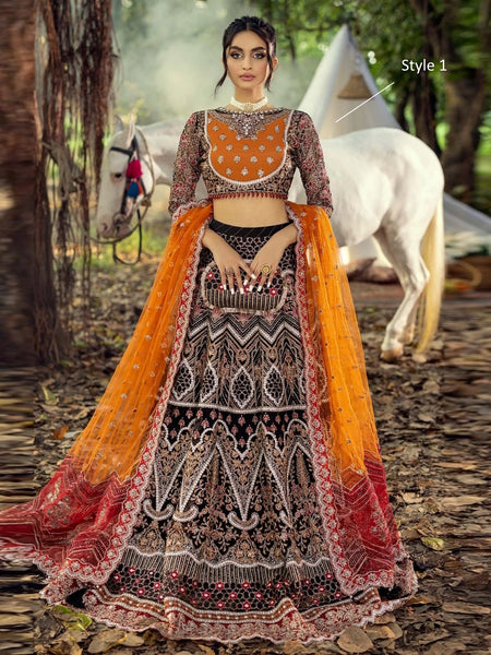  Pakistani Wedding Dress - Festive Embroidered Net