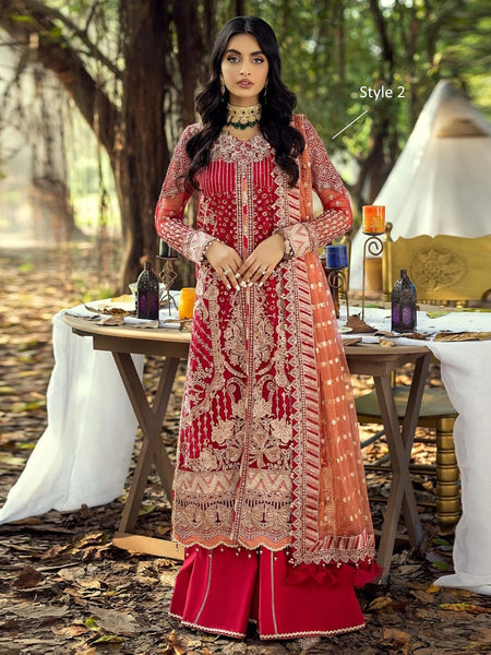  Pakistani Wedding Dress - Festive Embroidered Net