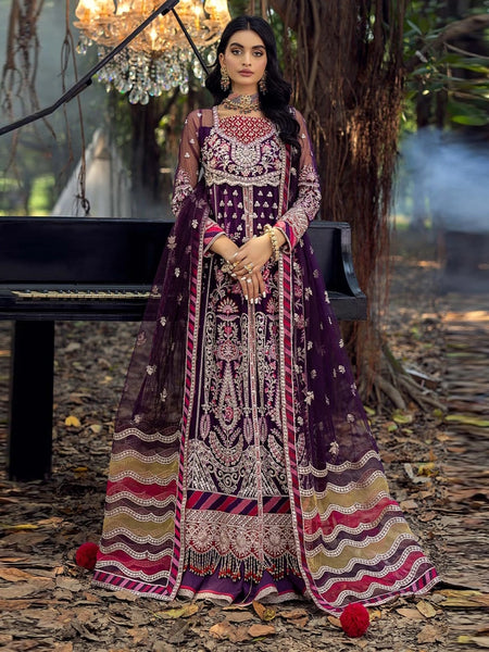  Salwar Kameez - Festive Embroidered Net