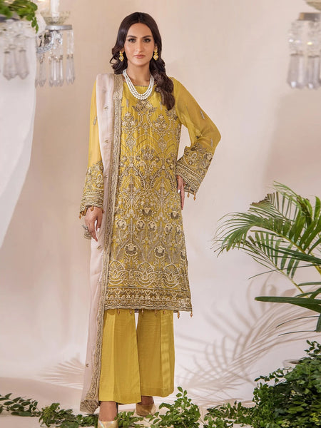 Salwar Kameez - Lueur Embroidered Chiffon
