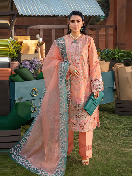 Pakistani Salwar Kameez - Chikankari Lawn Embroidery