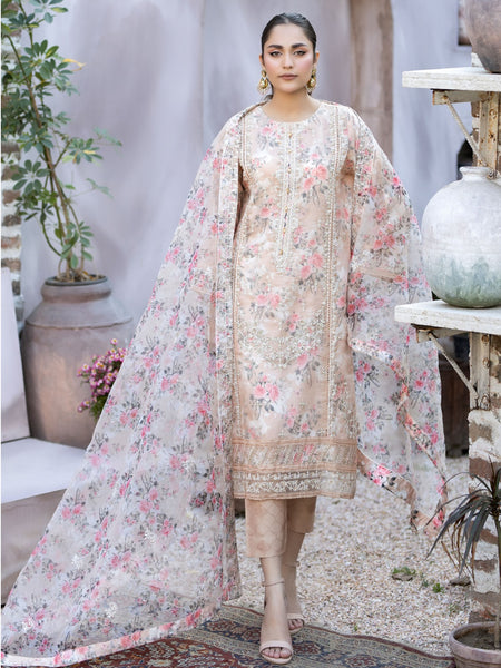  Salwar Kameez - Embroidered Organza