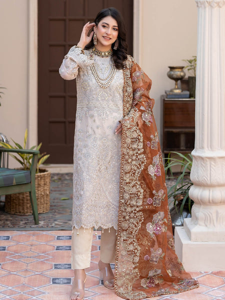 Pakistani Salwar Kameez - Embroidered Chiffon Organza