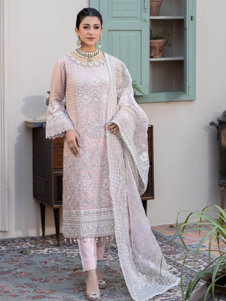  Salwar Kameez - Embroidered Chiffon Organza