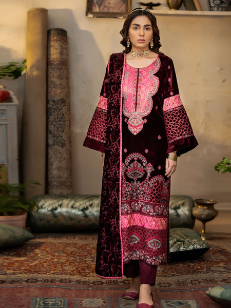 Pakistani Salwar Kameez - Designer Luxe Velvet