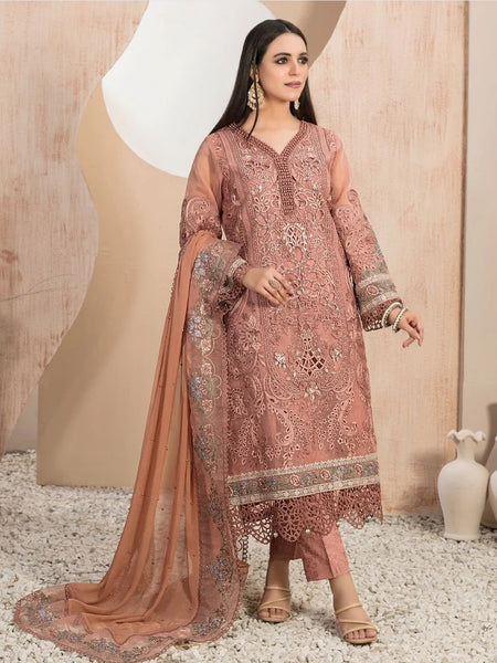 Pakistani Salwar Kameez - Embroidered Organza Jacquard