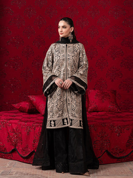Pakistani Salwar Kameez - Luxe Sequins Chiffon