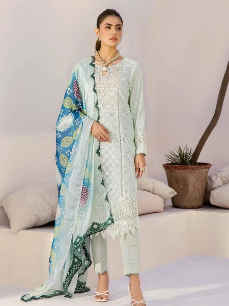 Pakistani Salwar Kameez - Lawn Schiffli Embroidery