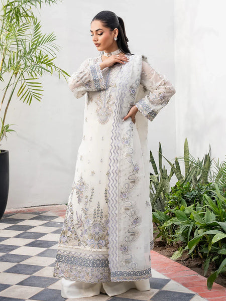  Salwar Kameez - Tarz Embroidered Chiffon
