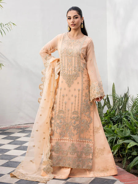 Pakistani Salwar Kameez