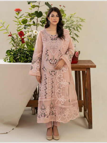 Pakistani Salwar Kameez - Luxury Embroidered Organza