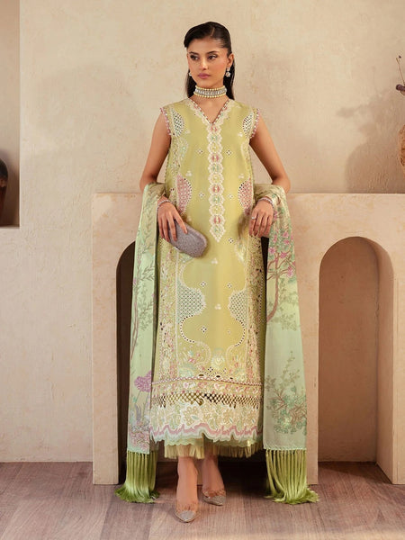 Pant Pakistani Dress