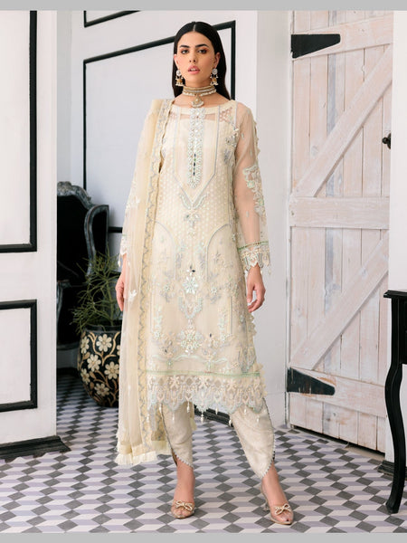 Pant Salwar Kameez - Organza Silk Embroidery
