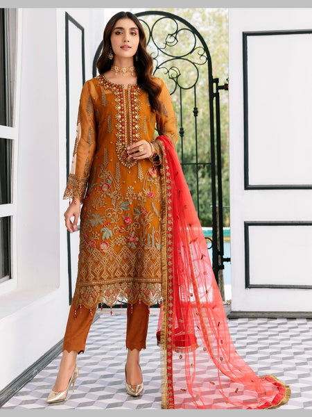 Chiffon Salwar Kameez - Organza Silk Embroidery