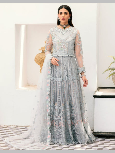 Chiffon Salwar Kameez - Net Silk Embroidery