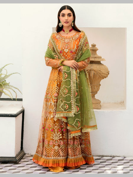 Chiffon Salwar Kameez - Lux Net Embroidery