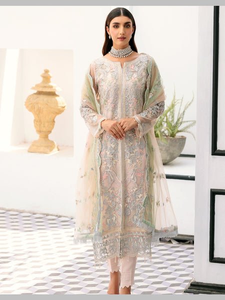 Chiffon Salwar Kameez - Net Silk Embroidery