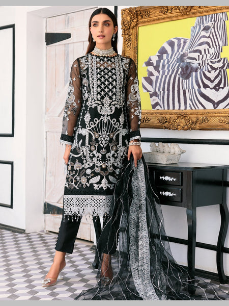 Chiffon Salwar Kameez - Organza Silk Embroidery