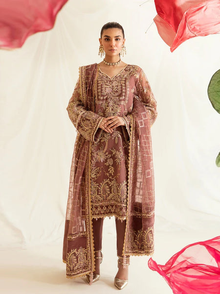  Salwar Kameez - Embroidered Luxury Organza