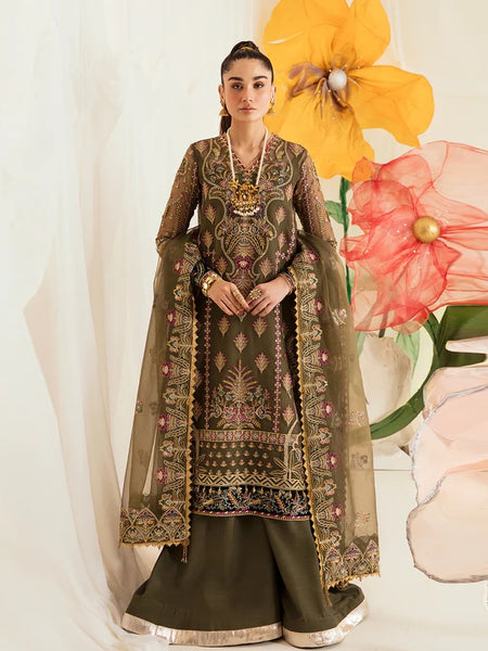  Salwar Kameez - Embroidered Luxury Organza