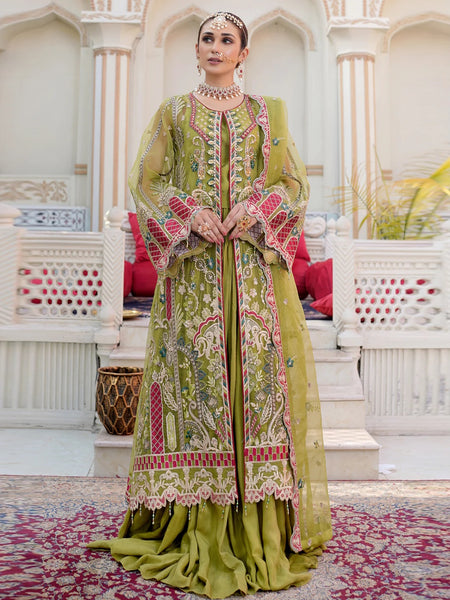  Salwar Kameez - Exclusive Embroidered Organza