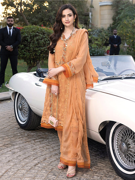 Salwar Kameez - Chiffon Embroidery