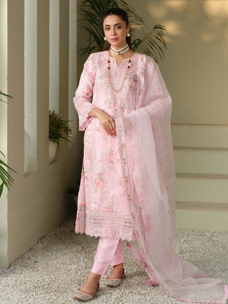 Salwar Kameez - Embellished Organza