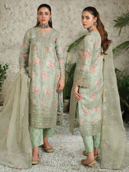 Pakistani Salwar Kameez - Embellished Organza