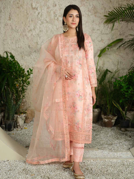 Pakistani Salwar Kameez - Embellished Organza