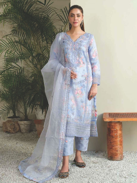 Blue Salwar Kameez