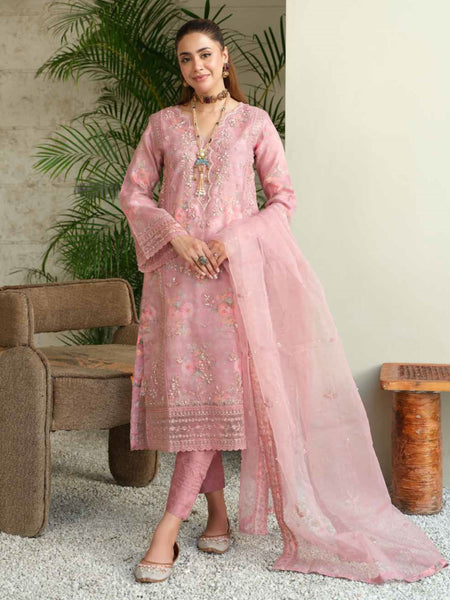 Pakistani Salwar Kameez - Embellished Organza