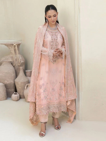 Pant Salwar Kameez - Blush Pink Chiffon Finely Embroidered Luxe Wear
