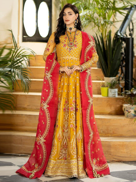 Salwar Kameez - Designer Embroidered Net
