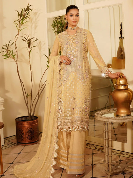 Pakistani Salwar Kameez - Embroidered Fine Chiffon