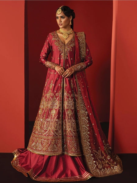 Party Pakistani Dress
