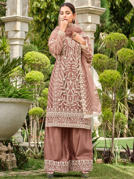Net Salwar Kameez - Pure Butterfly Net Embroidery