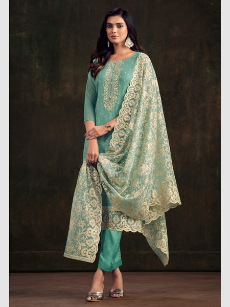  Indian Dress - Organza Embroidery